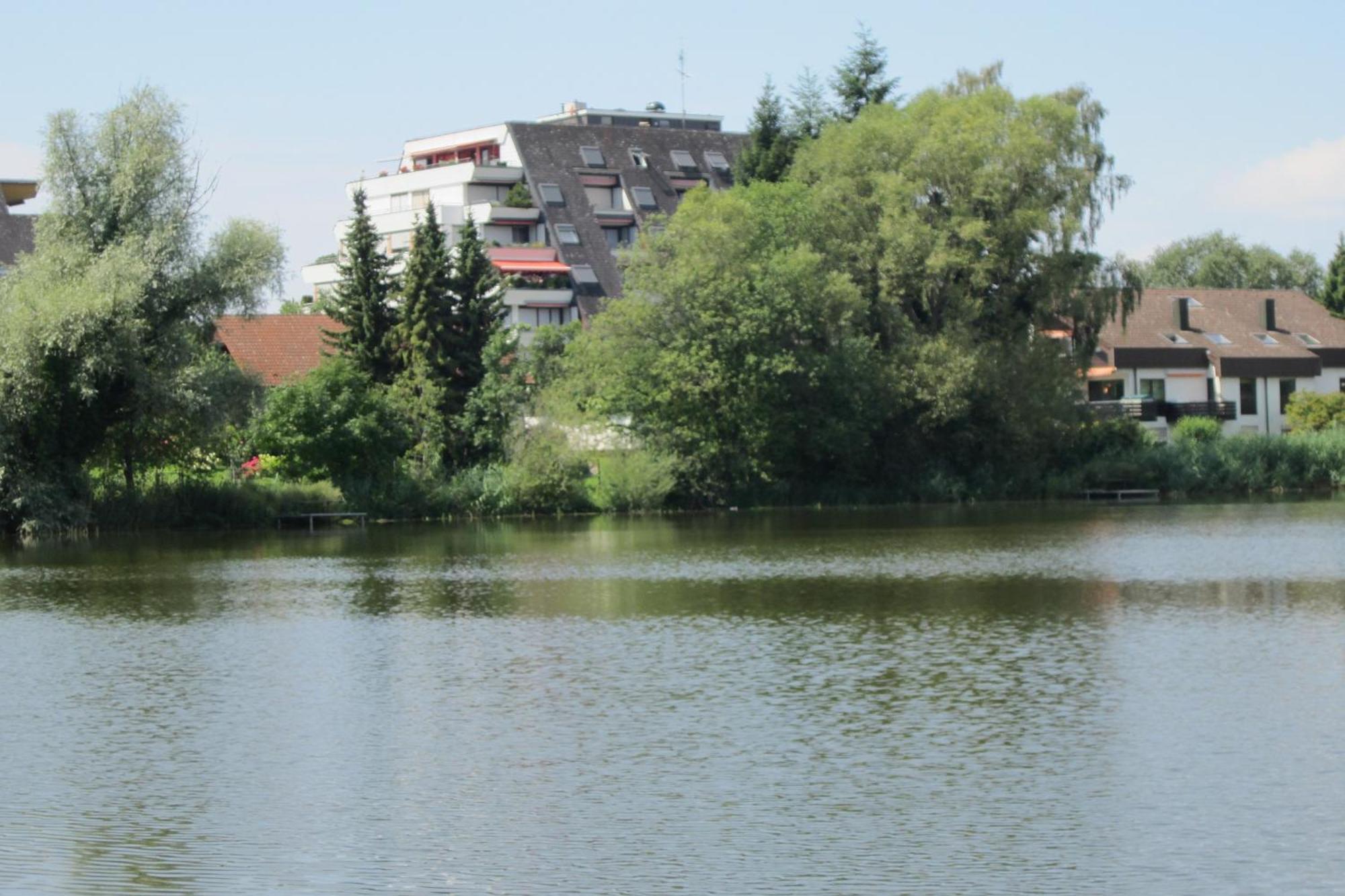 Ferienwohnung Am Weiher メーアスブルク エクステリア 写真